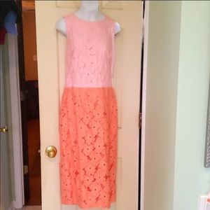 Maggy London pink/peach lace dress